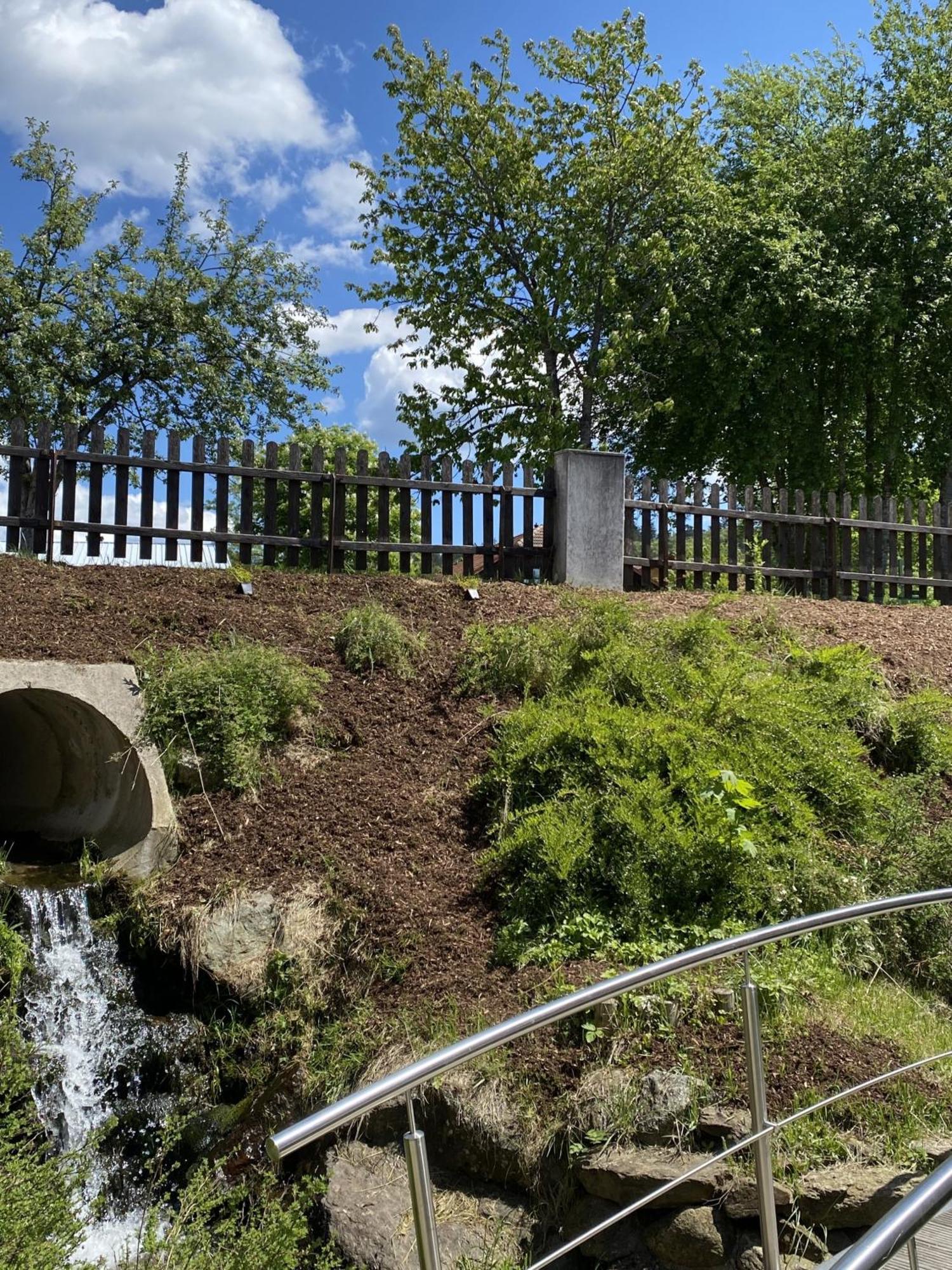 Ferienanlage Baeckerwiese Neuschönau Esterno foto